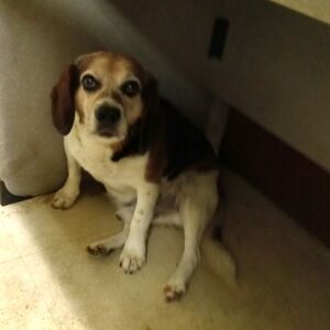 Selling anything and everything